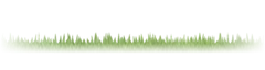 Golf turf
